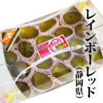 Rainbow Kiwi Fruits | Shizuoka Prefecture | 18 Pcs
