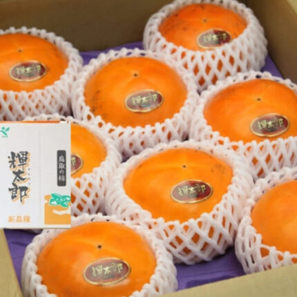 Kitaro Persimmon | Tottori Prefecture