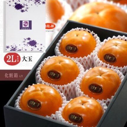 Kitaro Persimmon | Tottori Prefecture