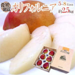 California Pear | Yamagata Prefecture