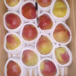 California Pear | Yamagata Prefecture | 14 Pcs