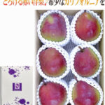 California Pear | Yamagata Prefecture | 6 Pcs