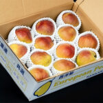 California Pear | Yamagata Prefecture | 12 Pcs