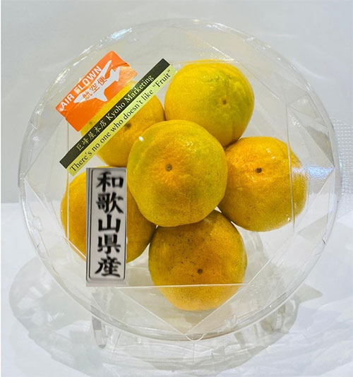 Early Taste Mikan | Wakatama Prefecture