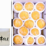 Horouman Yellow Plum | Yamagata Prefecture | 13 Pcs