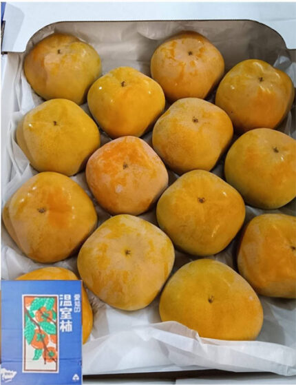 Jiro Kaki Persimmon (Seedless) | Premium-Aoshu Grade | Aichi Prefecture | 5L Size 14 Pcs