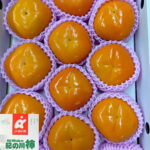 Kinokawa Persimmon Kuroama - Black (Seedless) | Wakayama Prefecture | 6L Size