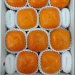 Kinokawa Persimmon | Kuroama (Black) (Seedless) | Akashu Grade | Wakayama Prefecture | 5L Size