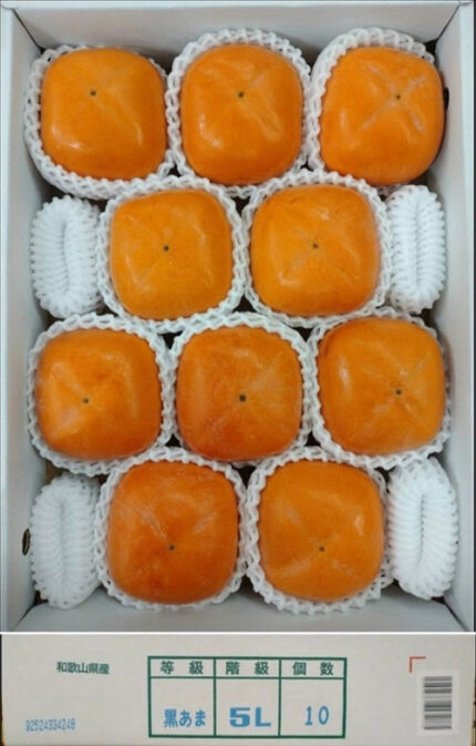 Kinokawa Persimmon | Kuroama (Black) (Seedless) | Akashu Grade | Wakayama Prefecture | 5L Size