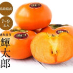 Kitaro Persimmon | Tottori Prefecture
