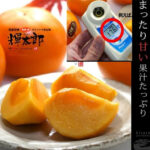 Kitaro Persimmon | Tottori Prefecture