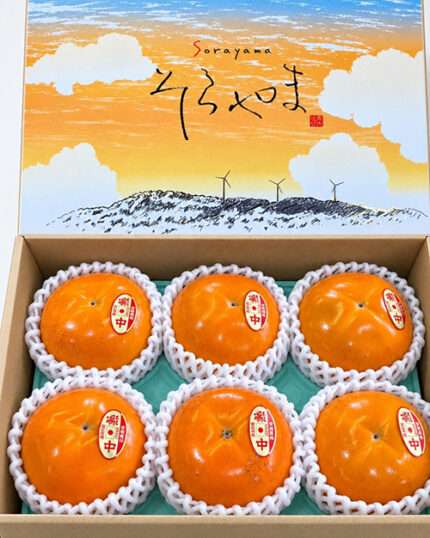 Kitaro Persimmon | Aoshu Grade | Tottori Prefecture | 6 Pcs