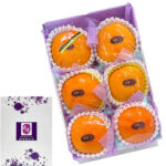 Kitaro Persimmon | Aoshu Grade | Tottori Prefecture | 4L Size 6 Pcs