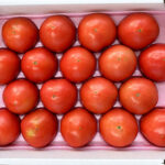 Nousuku Tomato | (For Salad Use) | Tokushima Prefecture | L Size
