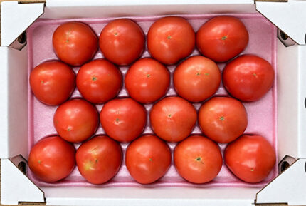 Nousuku Tomato | (For Salad Use) | Tokushima Prefecture | L Size