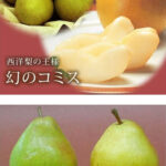 Phantom Commis | Yamagata Prefecture