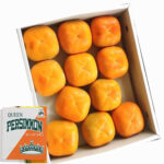 Queen Persimmon | Aoshu Grade | Wakayama Prefecture | 11 Pcs