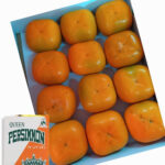 Queen Persimmon | Aoshu Grade | Wakayama Prefecture | 12 Pcs