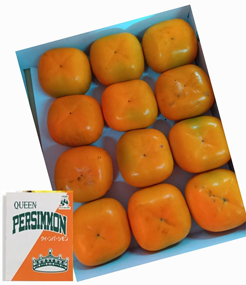 Queen Persimmon | Aoshu Grade | Wakayama Prefecture | 12 Pcs