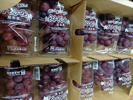 Queen Rouge Grapes | Nagano Prefecture | 2L Size