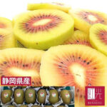 Rainbow Kiwi Fruits | Shizuoka Prefecture