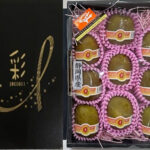 Rainbow Kiwi Fruits | Shizuoka Prefecture | 9 Pcs