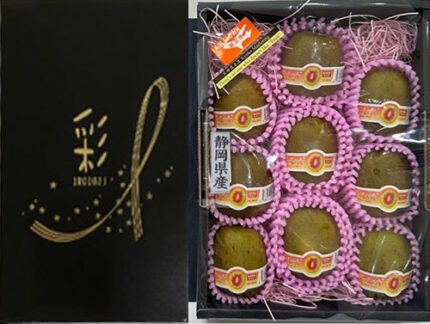 Rainbow Kiwi Fruits | Shizuoka Prefecture | 9 Pcs