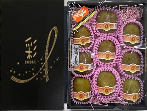 Rainbow Kiwi Fruits | Shizuoka Prefecture | 9 Pcs