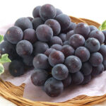 Shiga Kougen Pione Grapes | Premium Grade - Shu | Nagano Prefecture