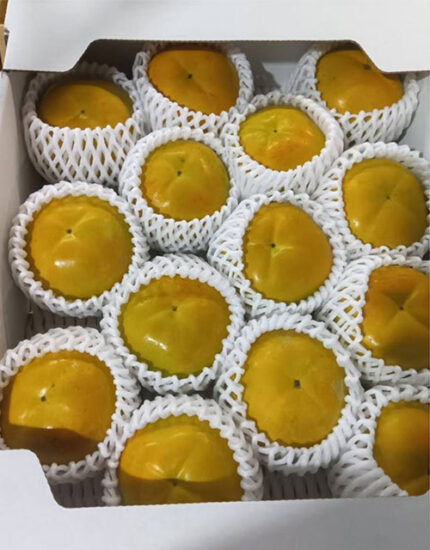 Taishu Persimmon (High Sugar Level) | Aichi Prefecture | 14 Pcs
