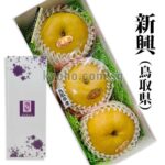 Shinko Pear (Tokushu Premium Grade) | Tottori Prefecture