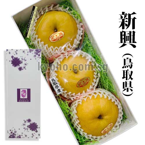 Shinko Pear | (Aoshu Grade) | Tottori Prefecture | 3L Size 3 Pcs Shinko Pear | (Aoshu Grade) | Tottori Prefecture | 3L Size 3 Pcs