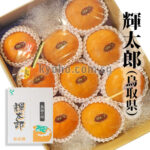Kitaro Persimmon | Aoshu Grade | Tottori Prefecture | 2L Size 9 Pcs