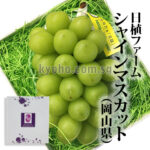Best Shine Muscat | Direct from Nishoku Farm | Akashu Grade | Okayama Prefecture | 710g