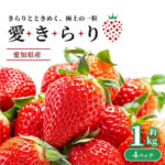 Aikirari Strawberry | Aichi Prefecture | Pack