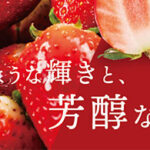 Aikirari Strawberry | Aichi Prefecture | Pack