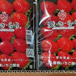 Aikirari Strawberry | Aichi Prefecture | Pack