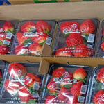Aikirari Strawberry | Aichi Prefecture | Deluxe Pack