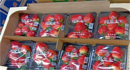 Aikirari Strawberry | Aichi Prefecture | Deluxe Pack