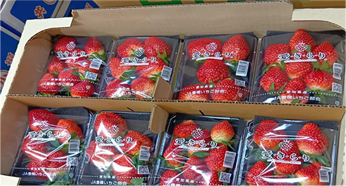 Aikirari Strawberry | Aichi Prefecture | Deluxe Pack