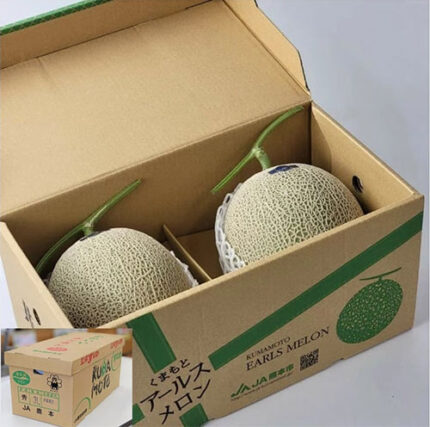 Arus Melon (High Sugar Level) | Kumamoto Prefecture | 4L Size