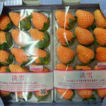 Awayuki Strawberry | Nara Prefecture | L Size