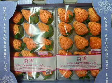 Awayuki Strawberry | Nara Prefecture | L Size
