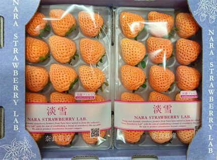 Awayuki Strawberry | Nara Prefecture | L Size