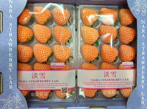 Awayuki Strawberry | Nara Prefecture | L Size