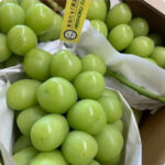 Best Shine Muscat | Direct from Nishoku Farm | Akashu Grade | Okayama Prefecture