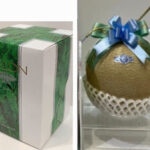 Crown Musk Melon | SHIRO - Premium Grade | Shizuoka Prefecture | 1.1kg