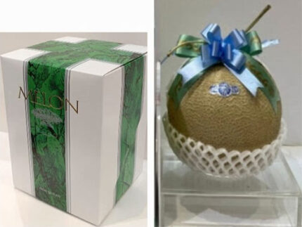 Crown Musk Melon | SHIRO - Premium Grade | Shizuoka Prefecture | 1.1kg