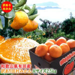 Early Tamura Mikan | Wakayama Prefecture