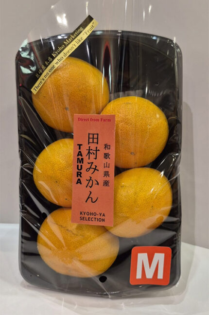 Early Tamura Mikan | Wakayama Prefecture